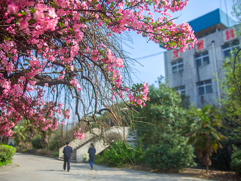 河鋼舞鋼的發展歷程 河鋼舞鋼的發展歷程