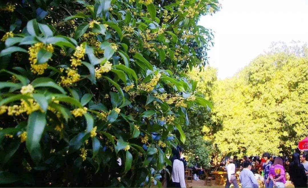 1662653391183321.jpeg aef25ee4b44faf679d119804b2d99365.jpeg