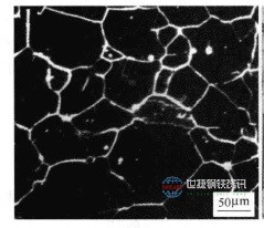 1686533852193127.jpg 024f78f0f736afc32317993eb819ebc4b7451255.jpg