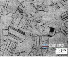 1686534063132625.jpg aec379310a55b319b7e8232e48a98226cffc1753.jpg