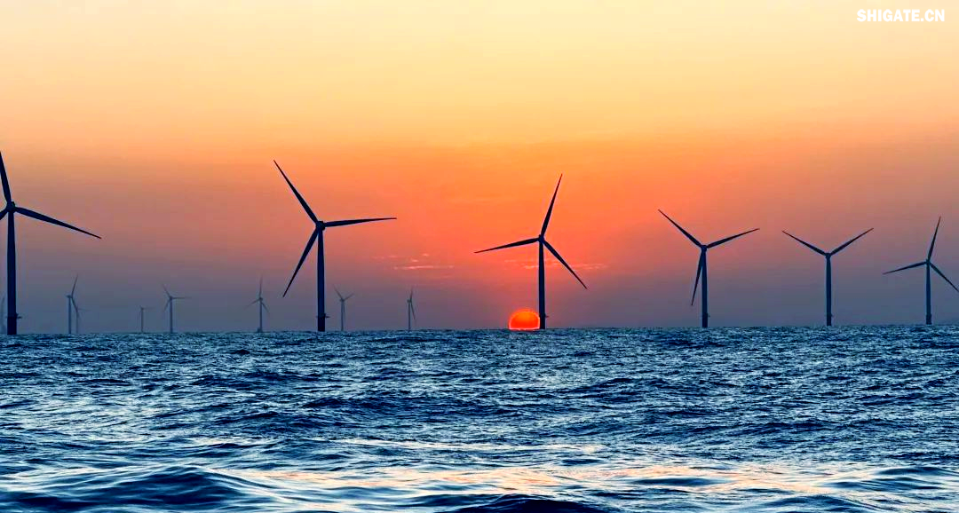 4月19日，河鋼集團舞鋼公司向客戶如期交付了一批風電鋼材，該批鋼材將專門用于大唐南澳勒門I海上風電擴建項目。 近年來，舞鋼公司不斷強化科技領導力和創新能力，以優化產品結構和市場結構為指導，專注于滿足客戶的個性化需求。公司依托自身的產品技術優勢，精準地服務于國家重點新基建和新能源項目市場，推動了公司的可持續發展。